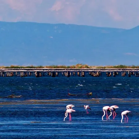 Laila Holiday home Riumar